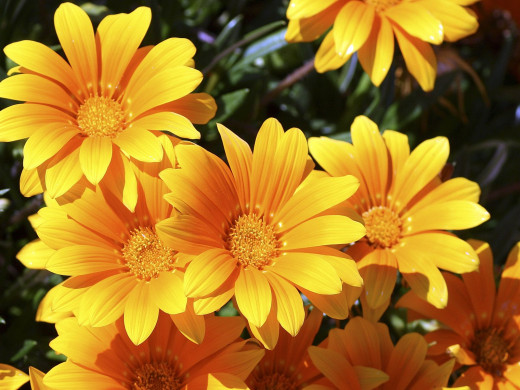 429811 (a): :1600x1200